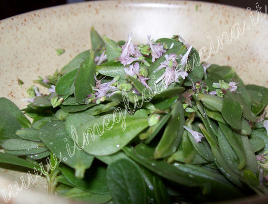 Insalata di portulaca