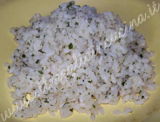 Risotto aromatico