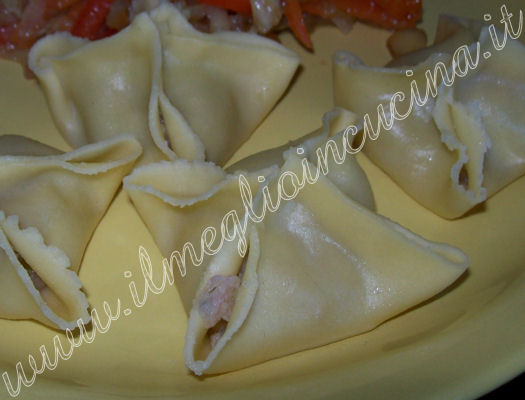 Wonton di maiale